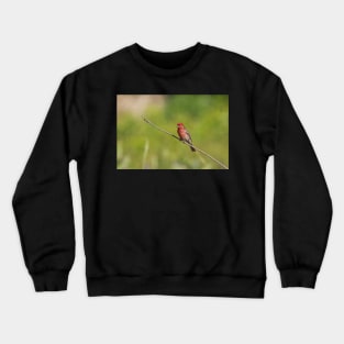 Flame On Crewneck Sweatshirt